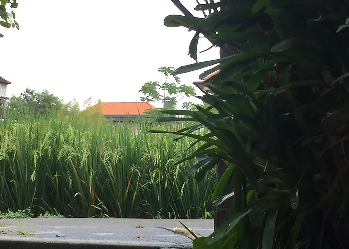 Depong House Ubud